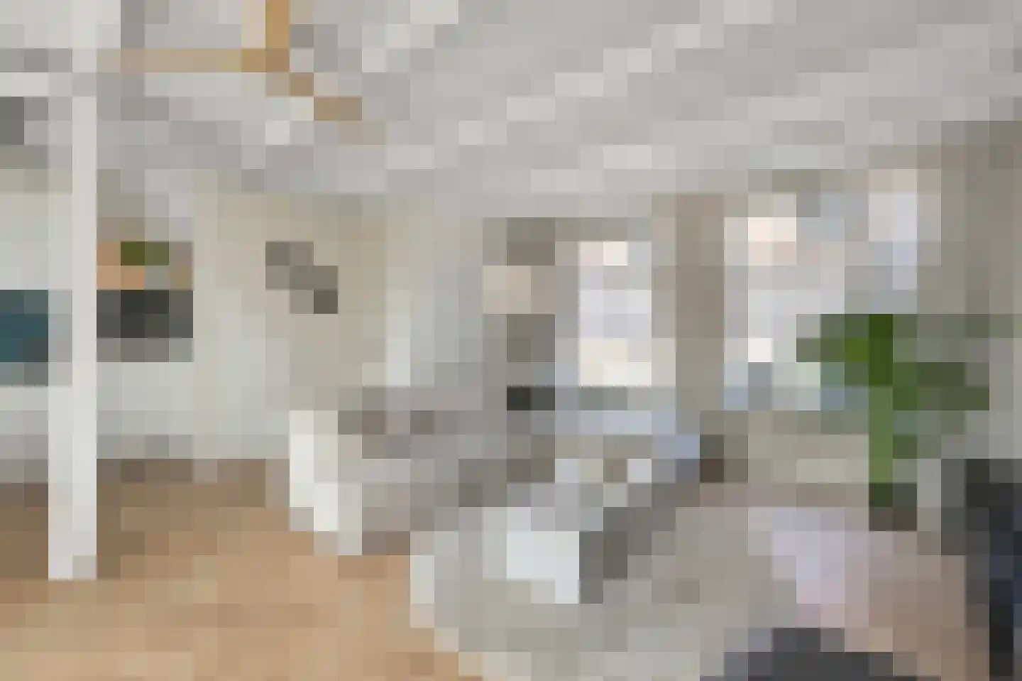 Ganzenwerfstraat 1 Zaandam thumbnail 5