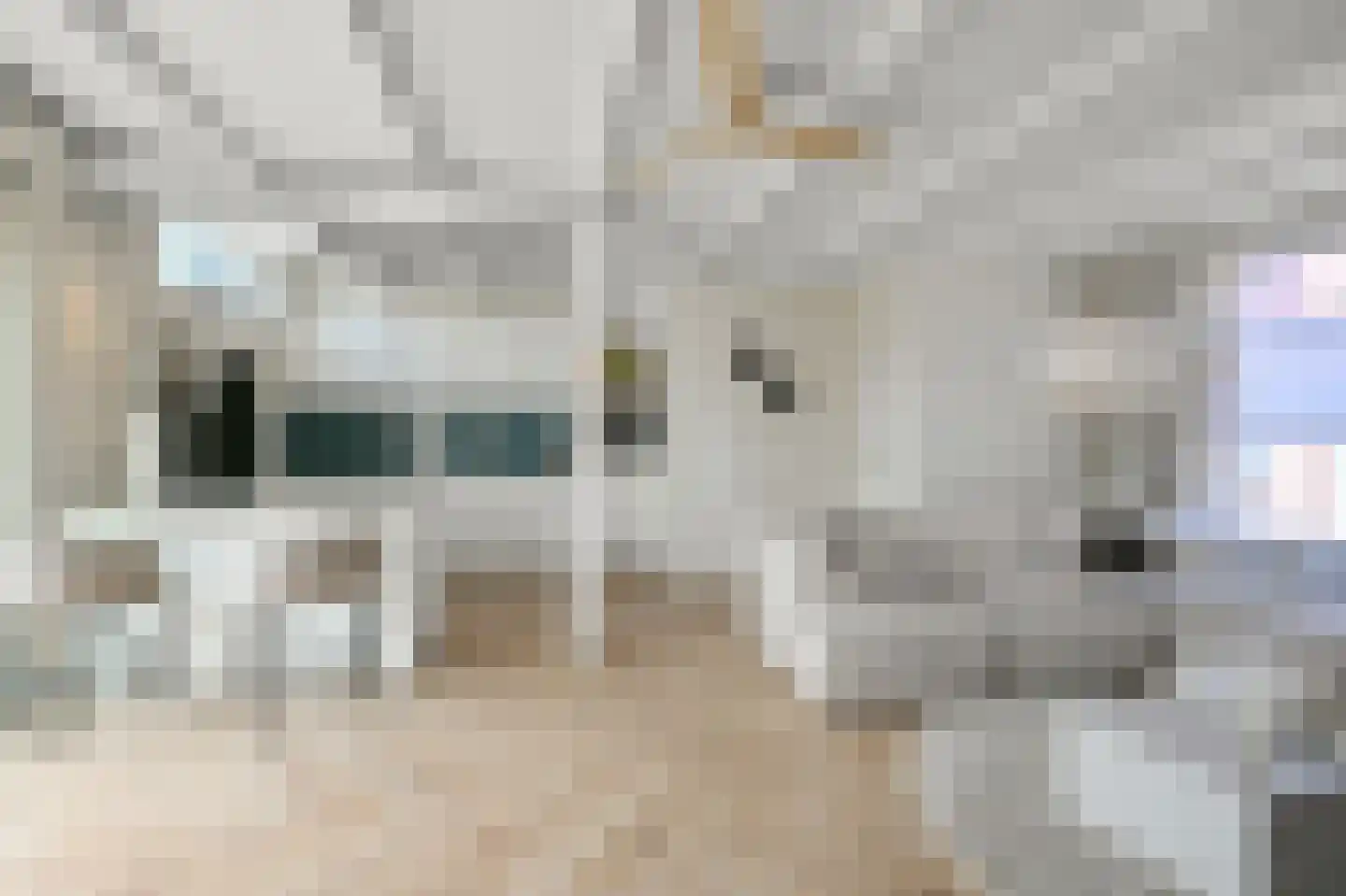 Ganzenwerfstraat 1 Zaandam thumbnail 6