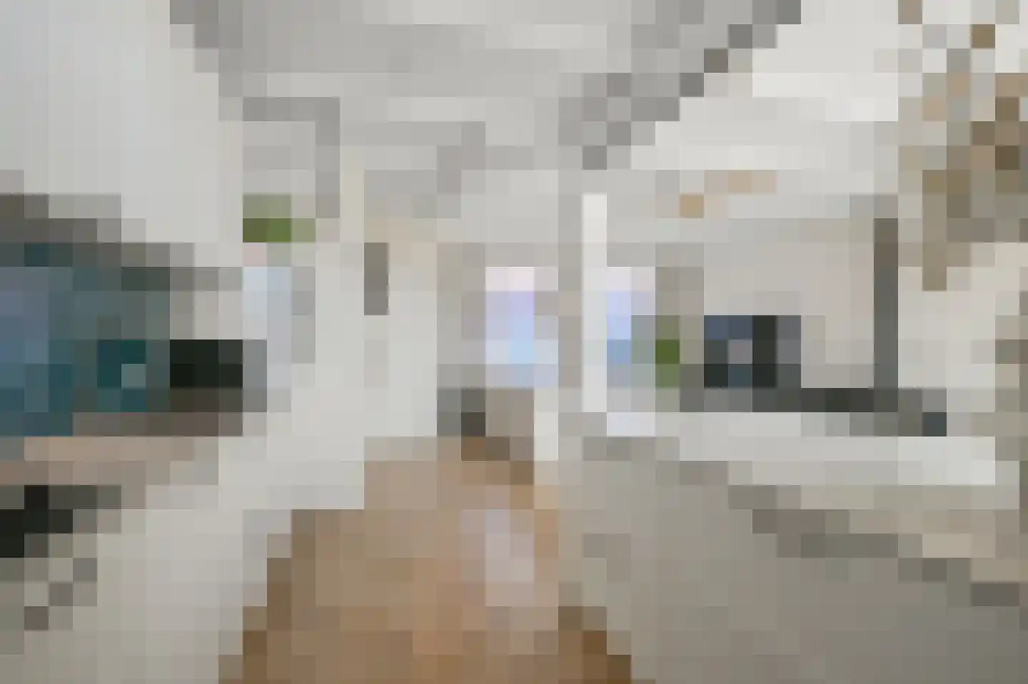 Ganzenwerfstraat 1 Zaandam thumbnail 8