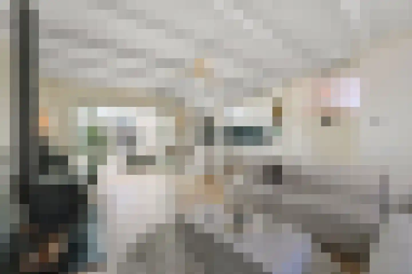 Ganzenwerfstraat 1 Zaandam thumbnail 9