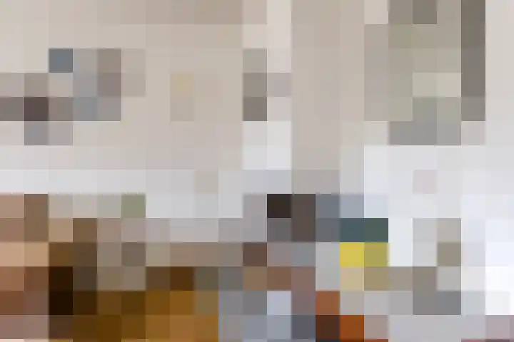 Ganzenwerfstraat 12 Zaandam thumbnail 15
