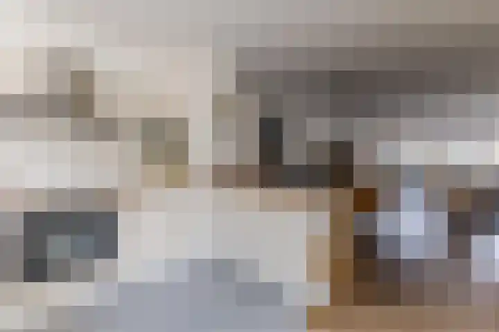 Ganzenwerfstraat 12 Zaandam thumbnail 20