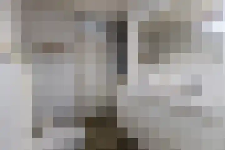 Ganzenwerfstraat 12 Zaandam thumbnail 29