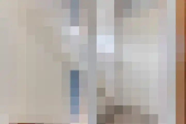 Ganzenwerfstraat 12 Zaandam thumbnail 32