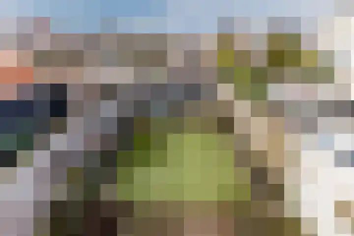Ganzenwerfstraat 12 Zaandam thumbnail 4