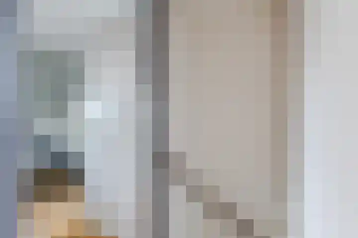Ganzenwerfstraat 12 Zaandam thumbnail 42