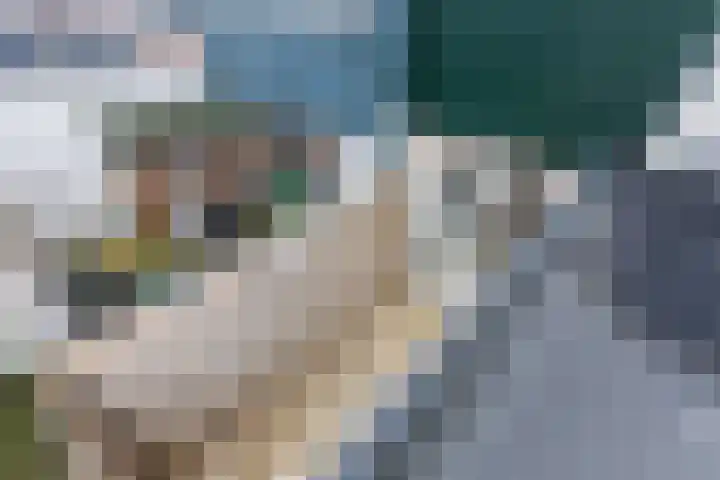 Ganzenwerfstraat 21 Zaandam thumbnail 33