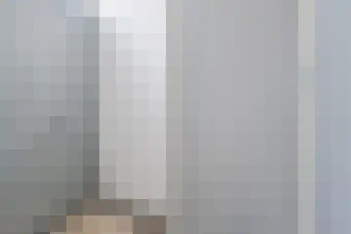 Ganzenwerfstraat 21 Zaandam thumbnail 4