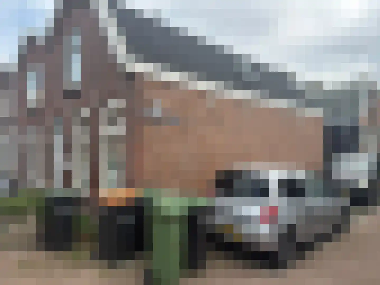 Ganzenwerfstraat 25 in Zaandam