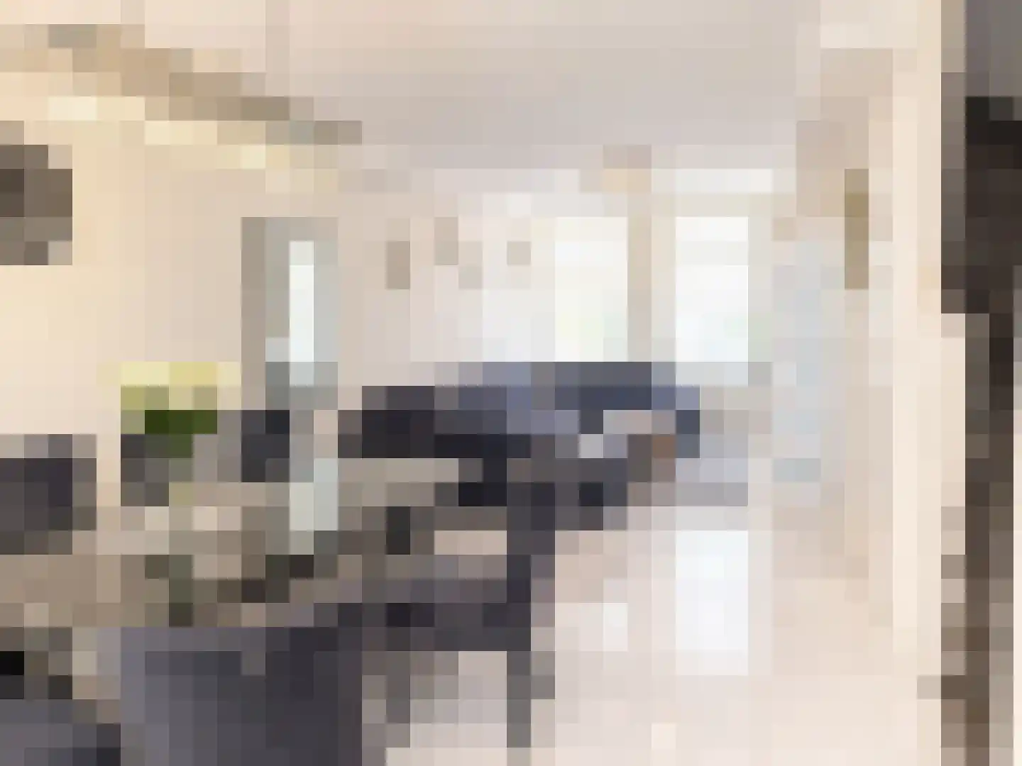 Ganzenwerfstraat 25 Zaandam thumbnail 4