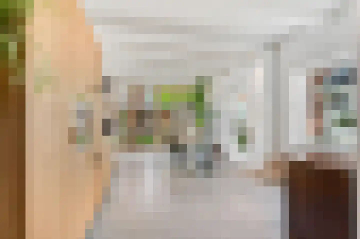 Ganzenwerfstraat 28 Zaandam thumbnail 12