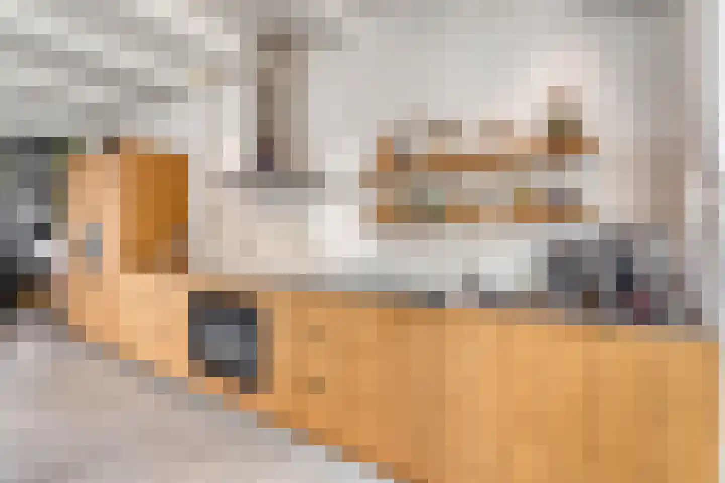 Ganzenwerfstraat 28 Zaandam thumbnail 13
