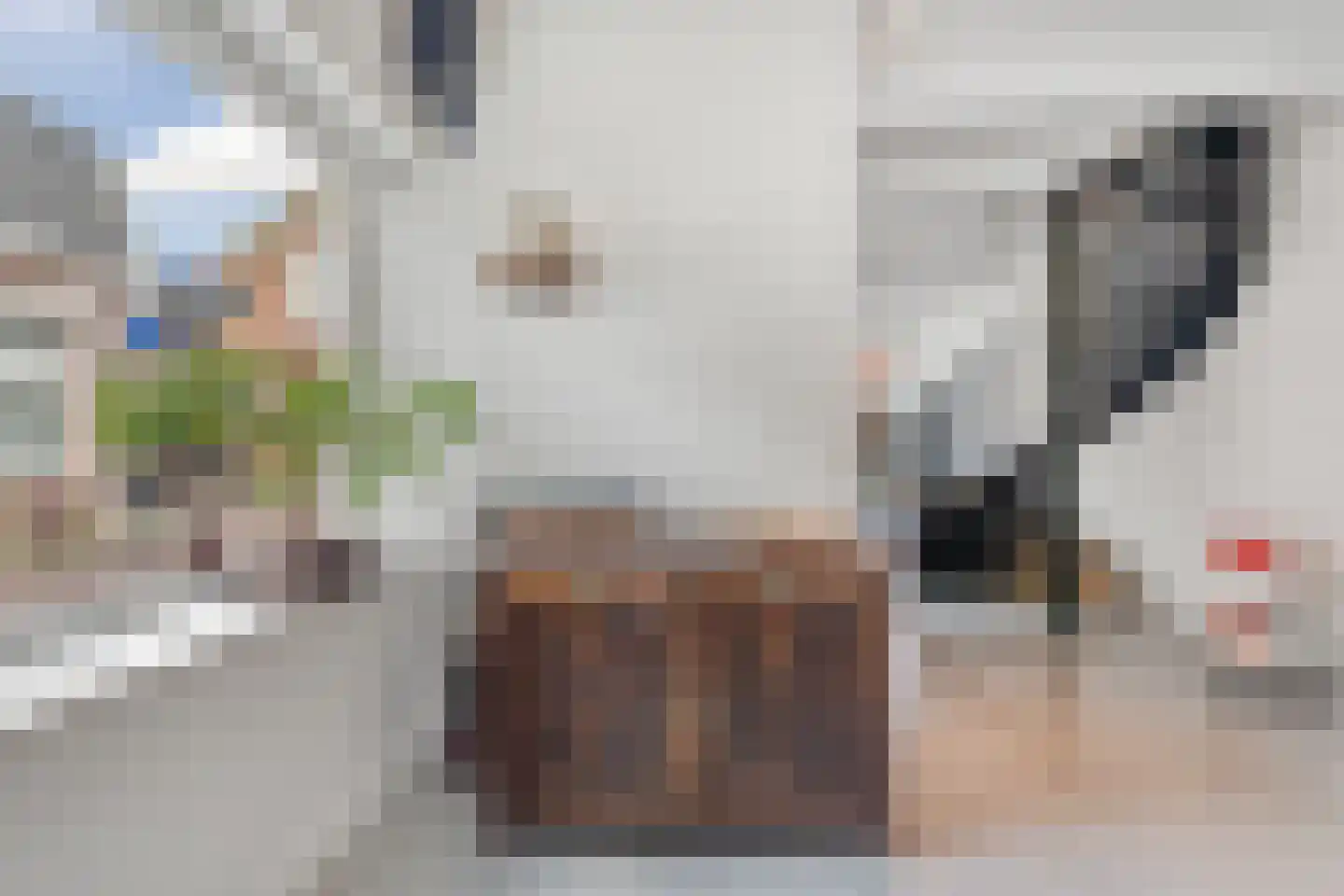 Ganzenwerfstraat 28 Zaandam thumbnail 17