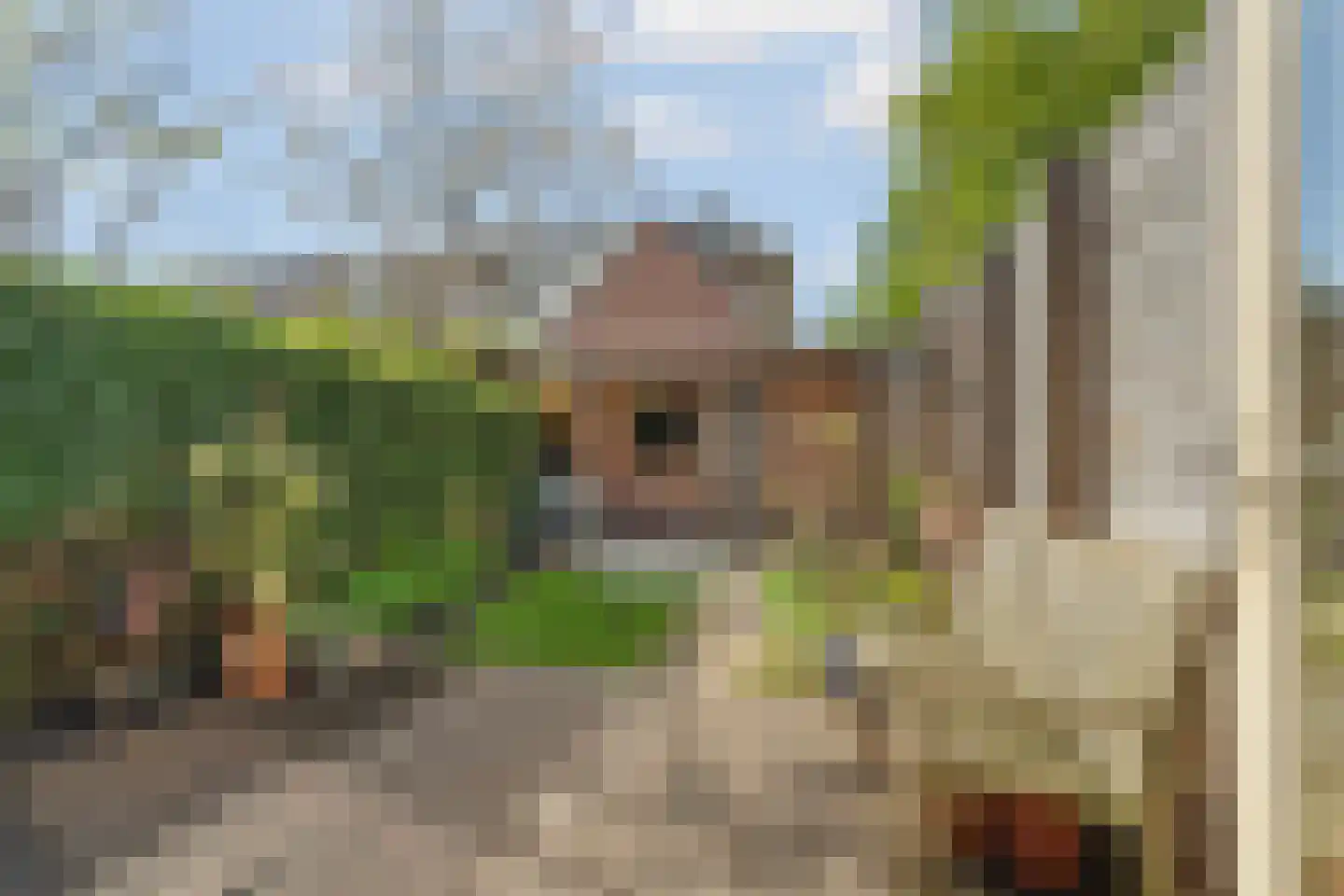 Ganzenwerfstraat 28 Zaandam thumbnail 21