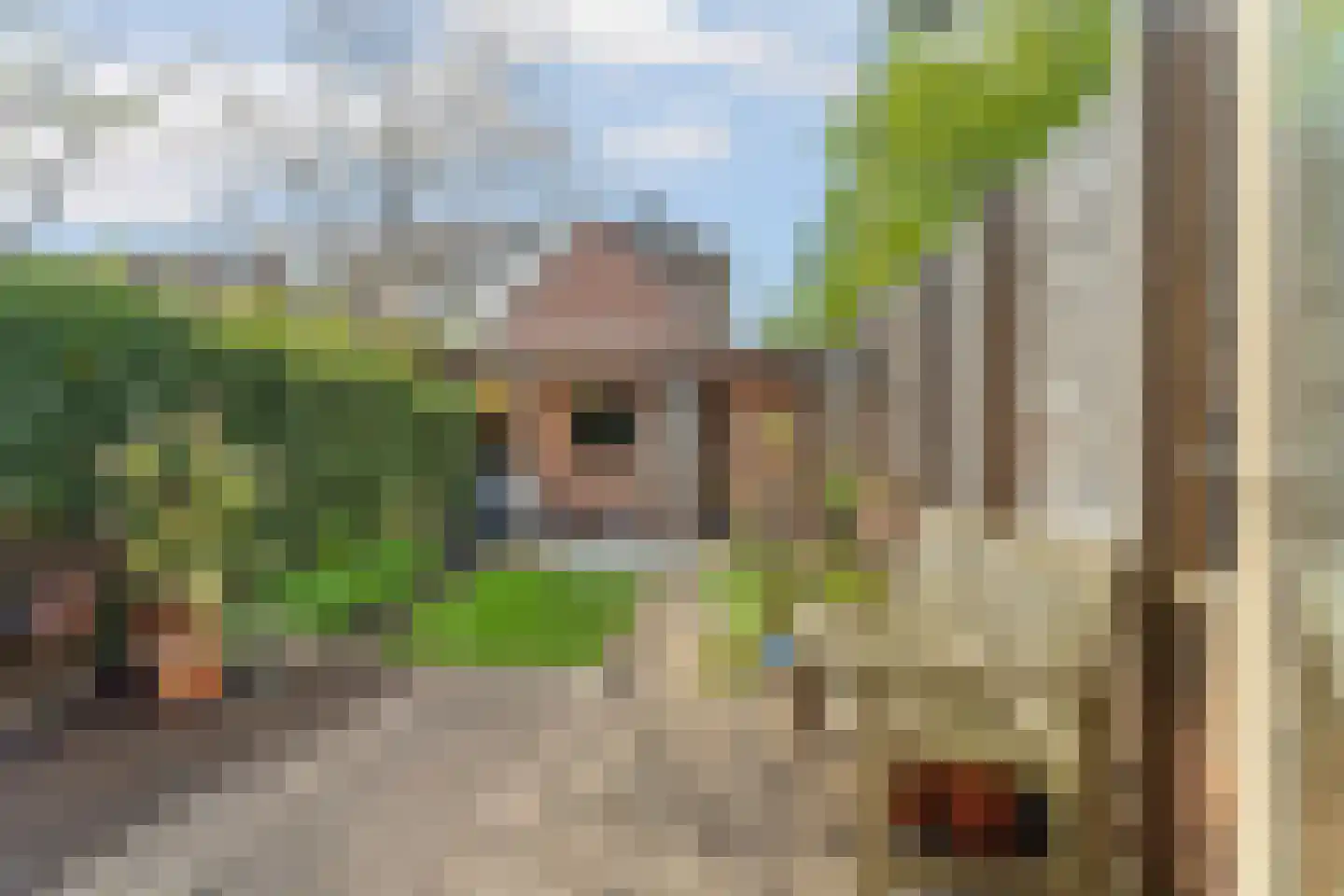 Ganzenwerfstraat 28 Zaandam thumbnail 23
