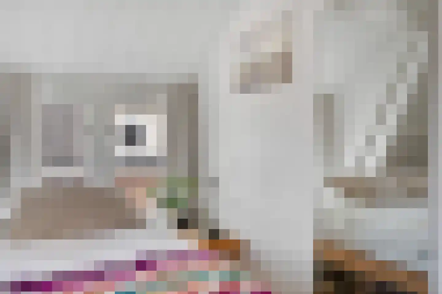 Ganzenwerfstraat 28 Zaandam thumbnail 27