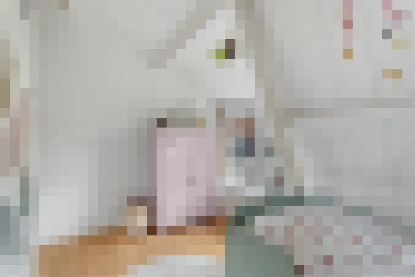 Ganzenwerfstraat 28 Zaandam thumbnail 32