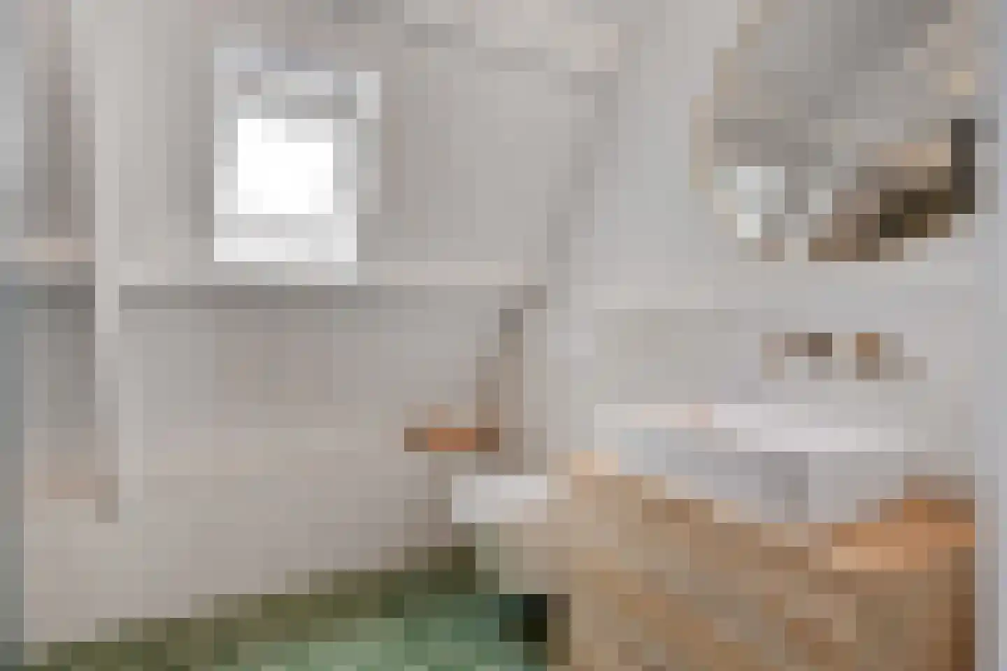 Ganzenwerfstraat 28 Zaandam thumbnail 37