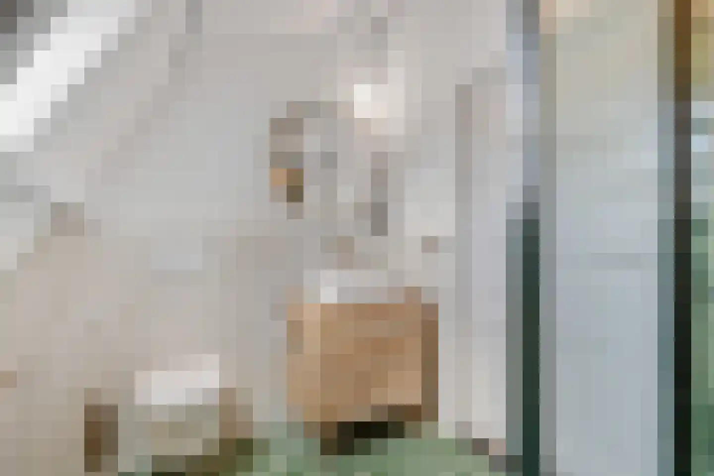 Ganzenwerfstraat 28 Zaandam thumbnail 39