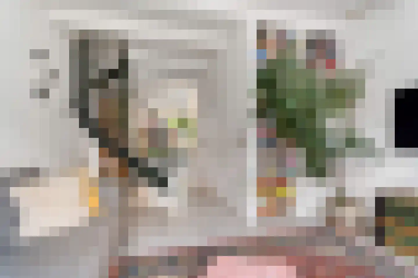 Ganzenwerfstraat 28 Zaandam thumbnail 4