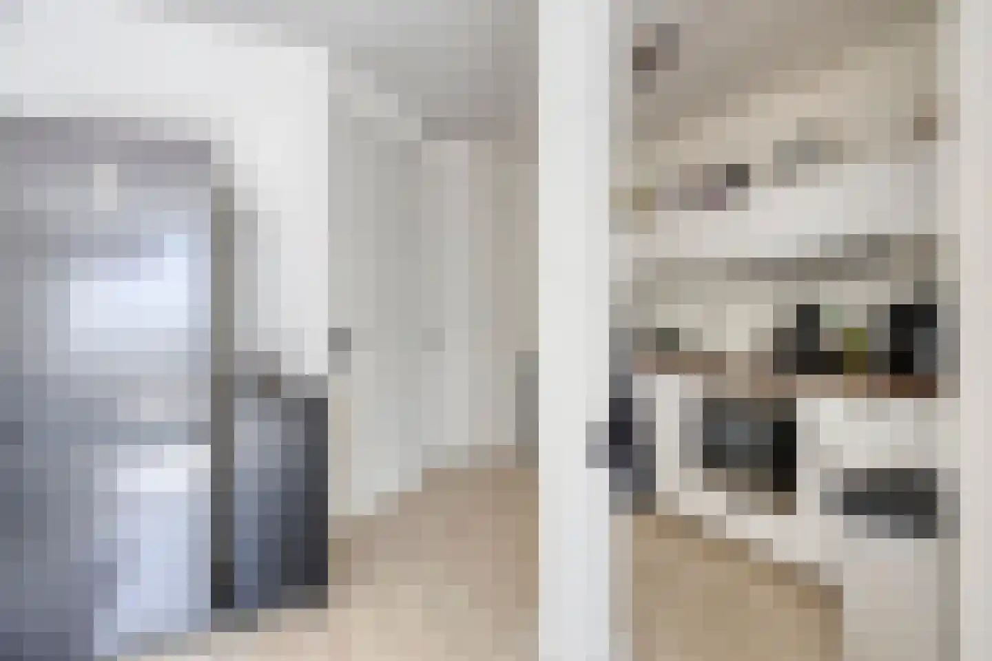Ganzenwerfstraat 6 Zaandam thumbnail 13