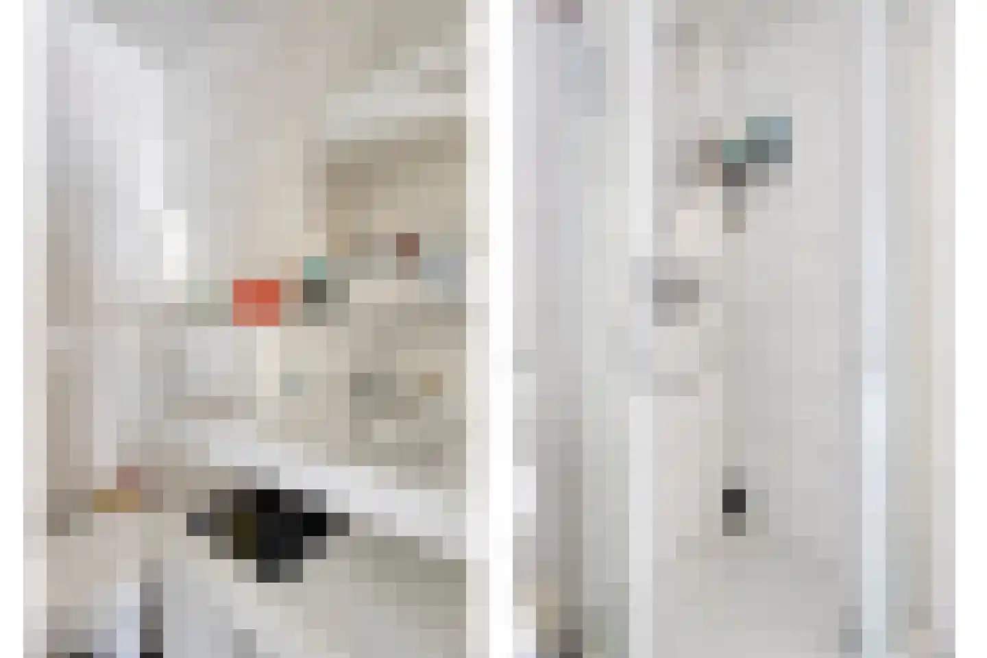 Ganzenwerfstraat 6 Zaandam thumbnail 21