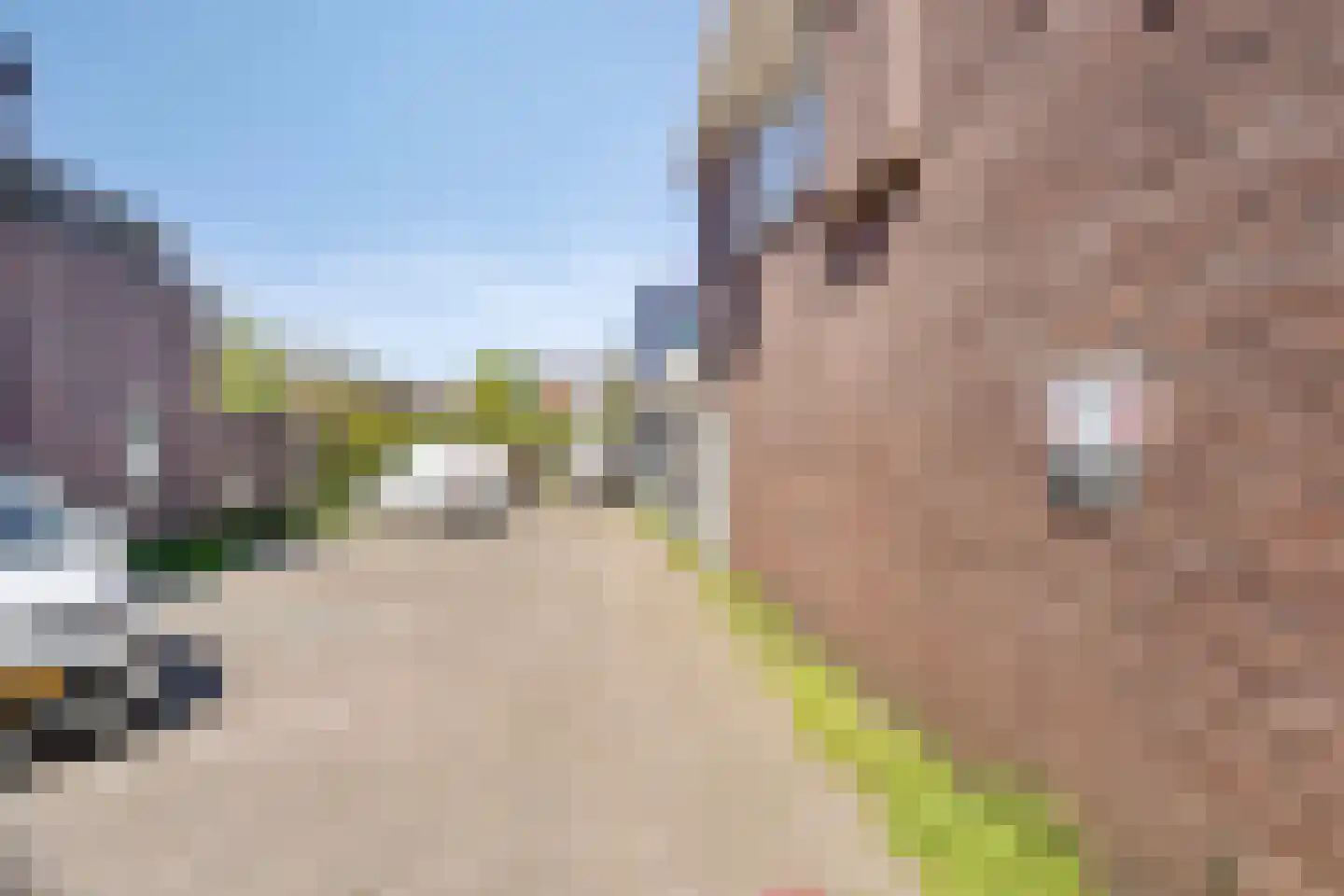 Ganzenwerfstraat 6 Zaandam thumbnail 24