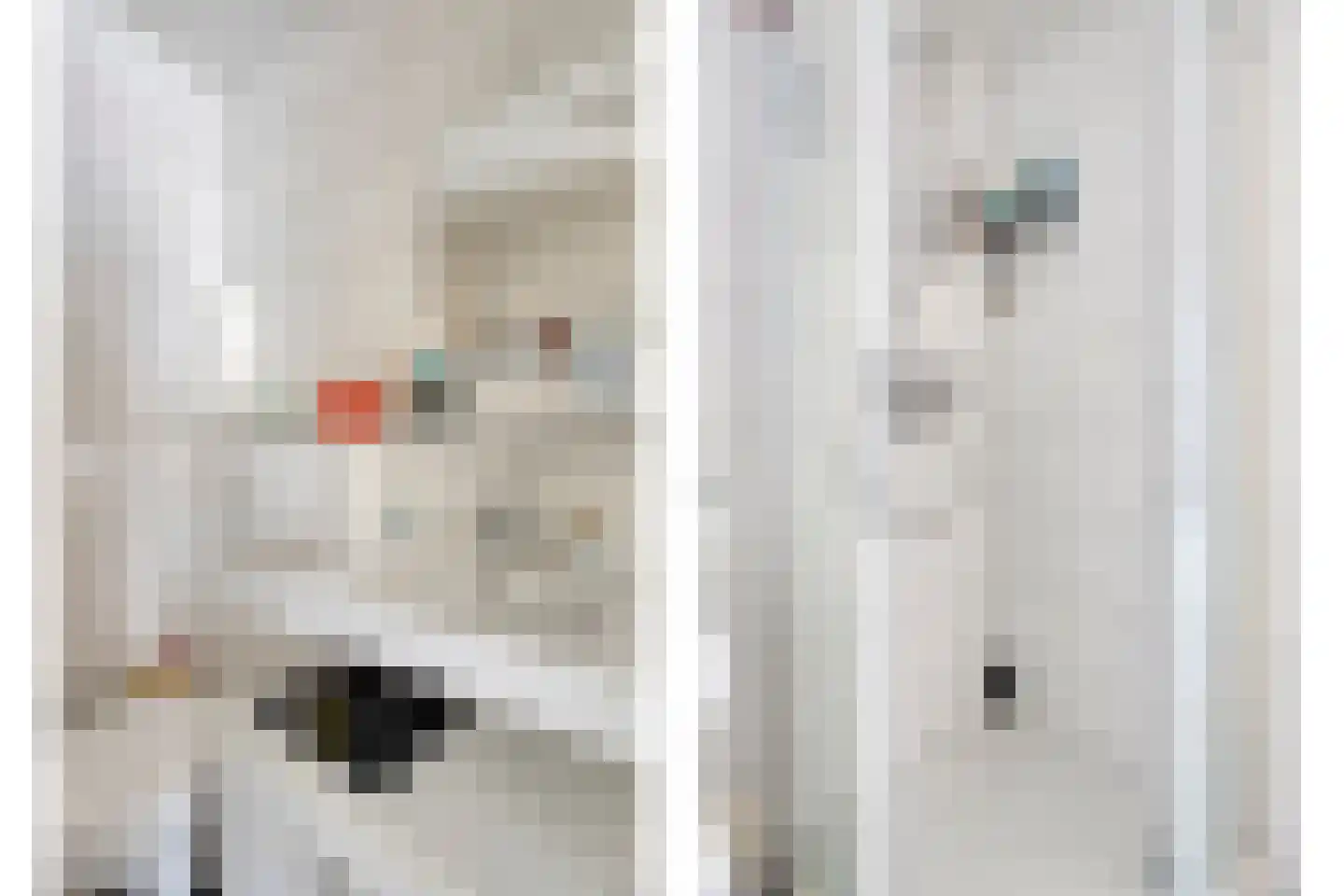 Ganzenwerfstraat 6 Zaandam thumbnail 4
