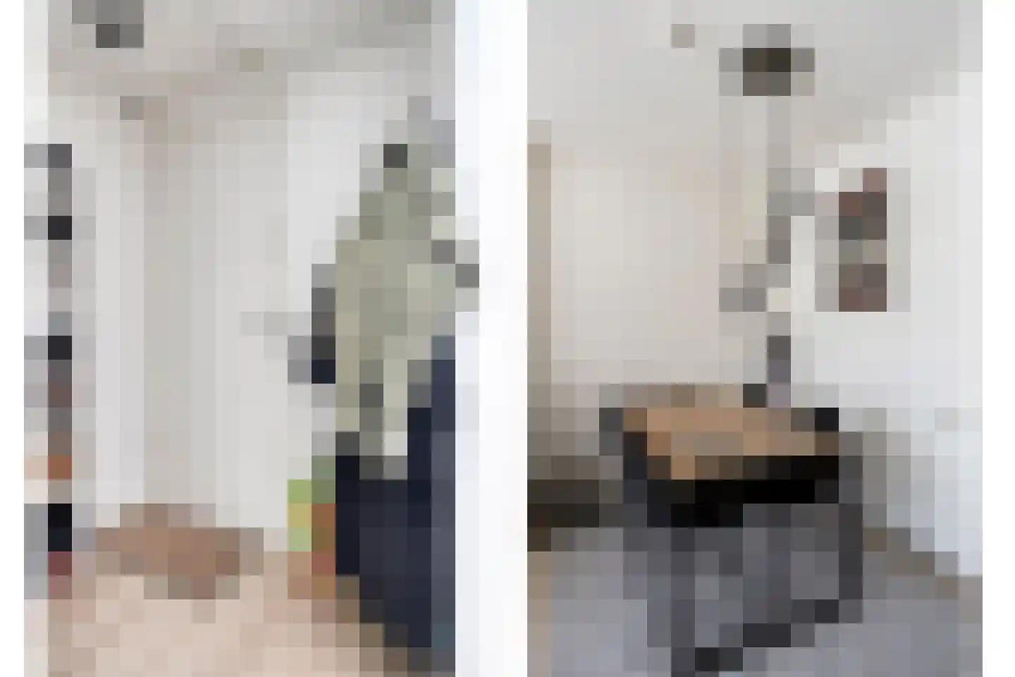 Ganzenwerfstraat 6 Zaandam thumbnail 8