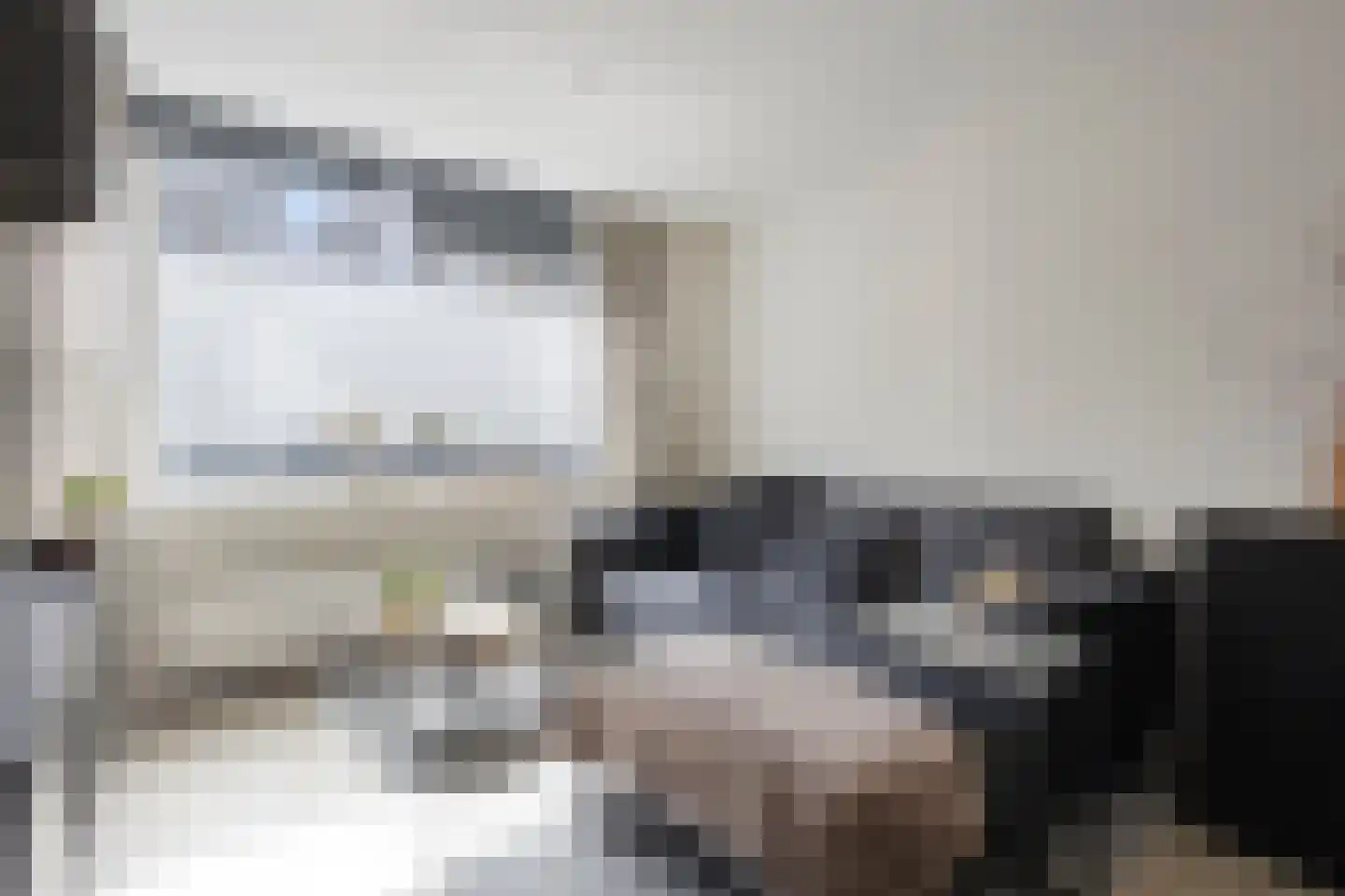 Ganzenwerfstraat 6 Zaandam thumbnail 9