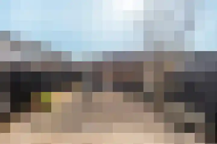 Ganzepad 9 Werkendam thumbnail 10