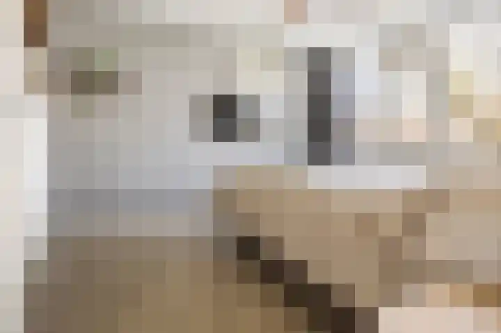 Ganzepad 9 Werkendam thumbnail 14