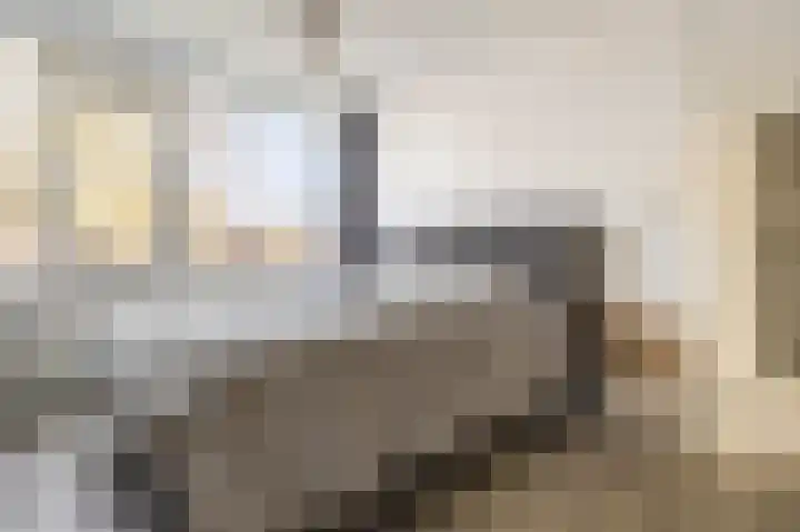 Ganzepad 9 Werkendam thumbnail 15