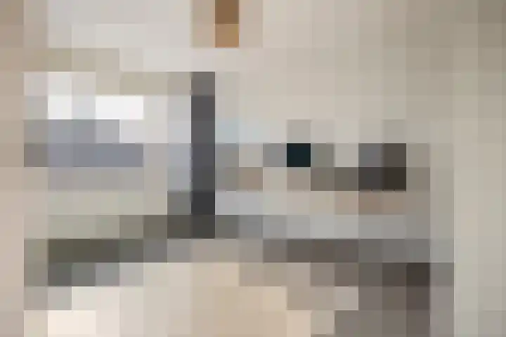Ganzepad 9 Werkendam thumbnail 18