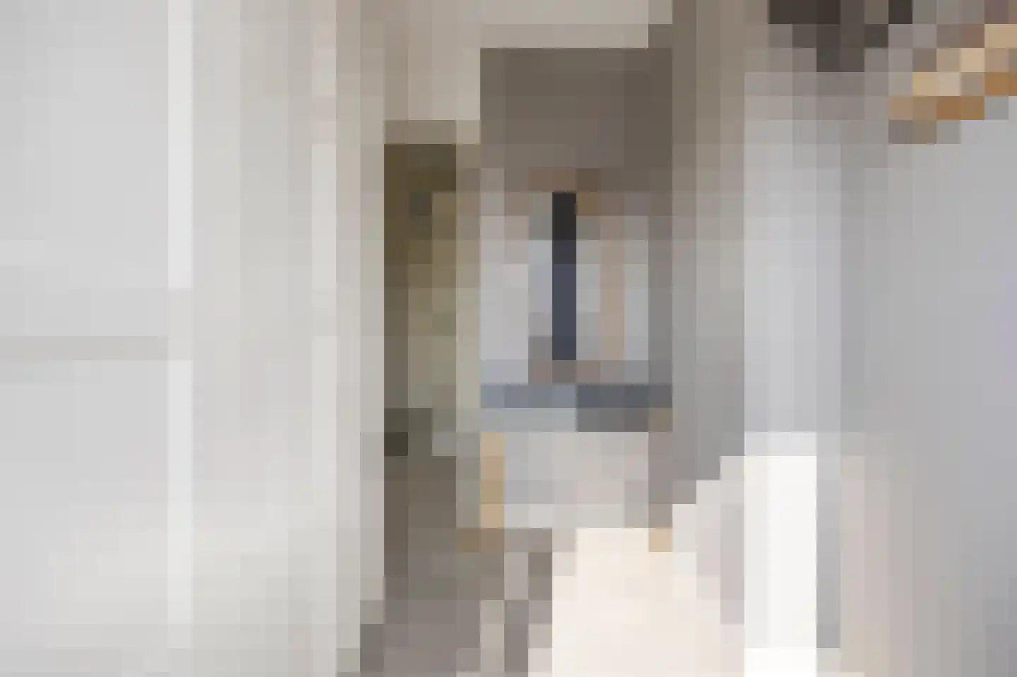 Ganzepad 9 Werkendam thumbnail 21