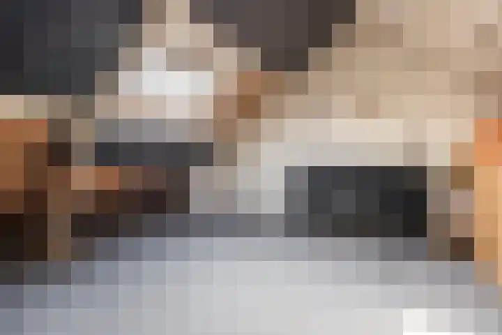 Ganzepad 9 Werkendam thumbnail 22