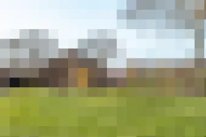 Ganzepad 9 Werkendam thumbnail 23