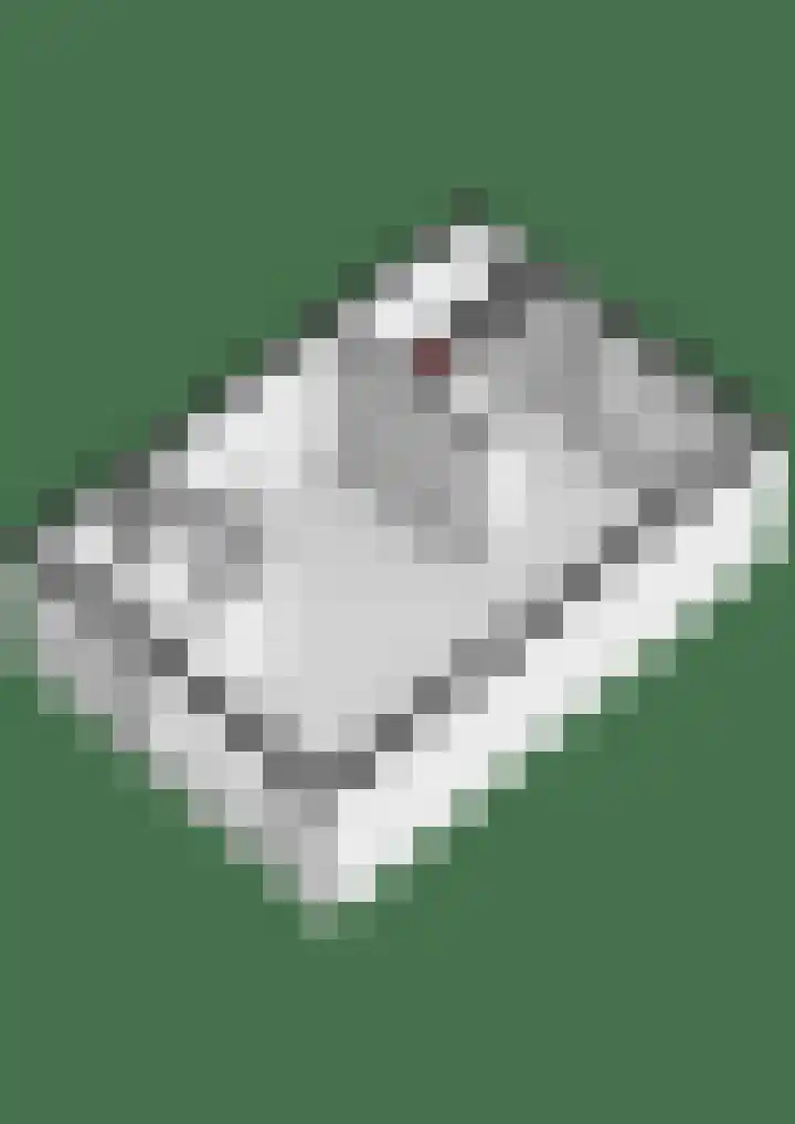 Ganzepad 9 Werkendam thumbnail 25