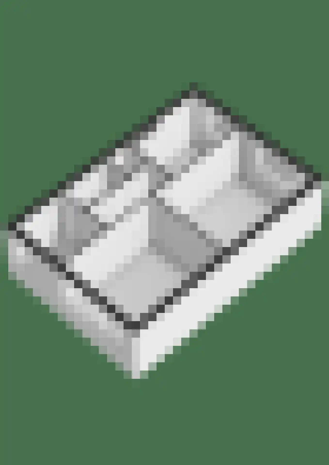Ganzepad 9 Werkendam thumbnail 27