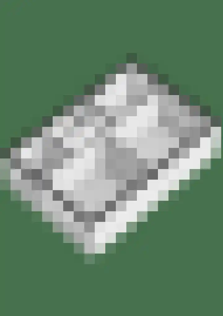 Ganzepad 9 Werkendam thumbnail 27