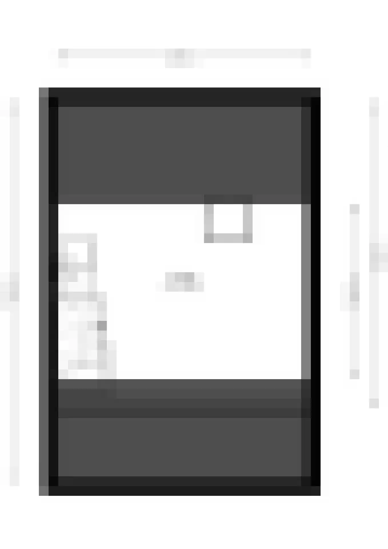 Ganzepad 9 Werkendam thumbnail 28