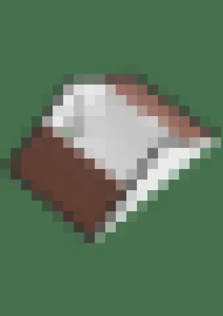 Ganzepad 9 Werkendam thumbnail 29
