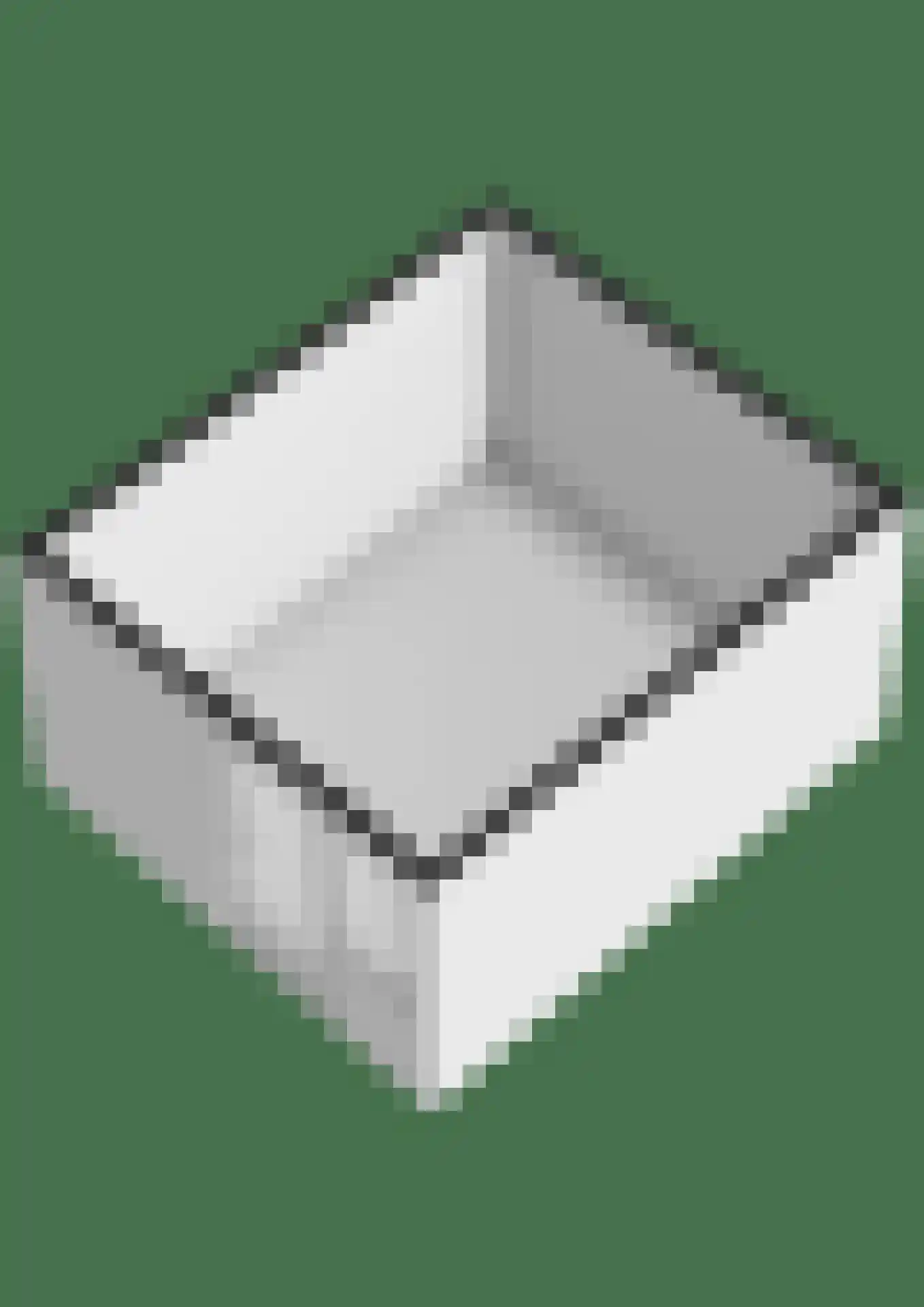 Ganzepad 9 Werkendam thumbnail 31