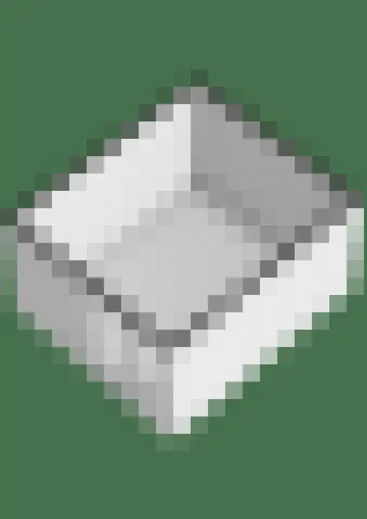 Ganzepad 9 Werkendam thumbnail 31