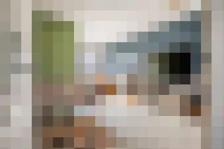 Ganzepad 9 Werkendam thumbnail 4