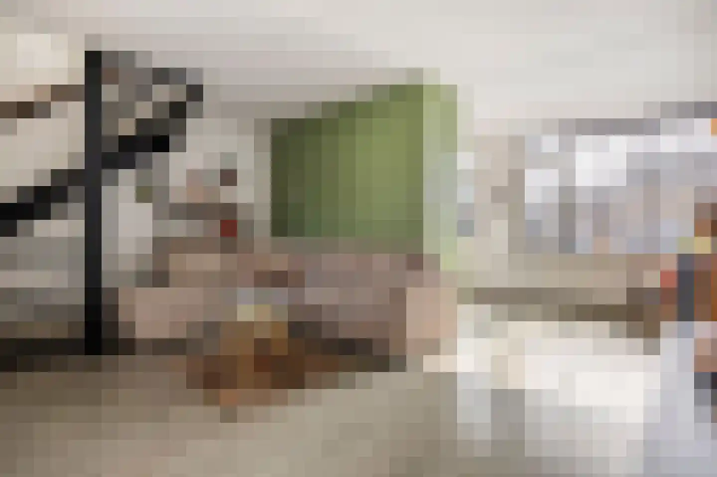 Ganzepad 9 Werkendam thumbnail 5