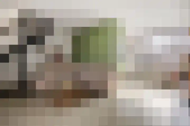 Ganzepad 9 Werkendam thumbnail 5