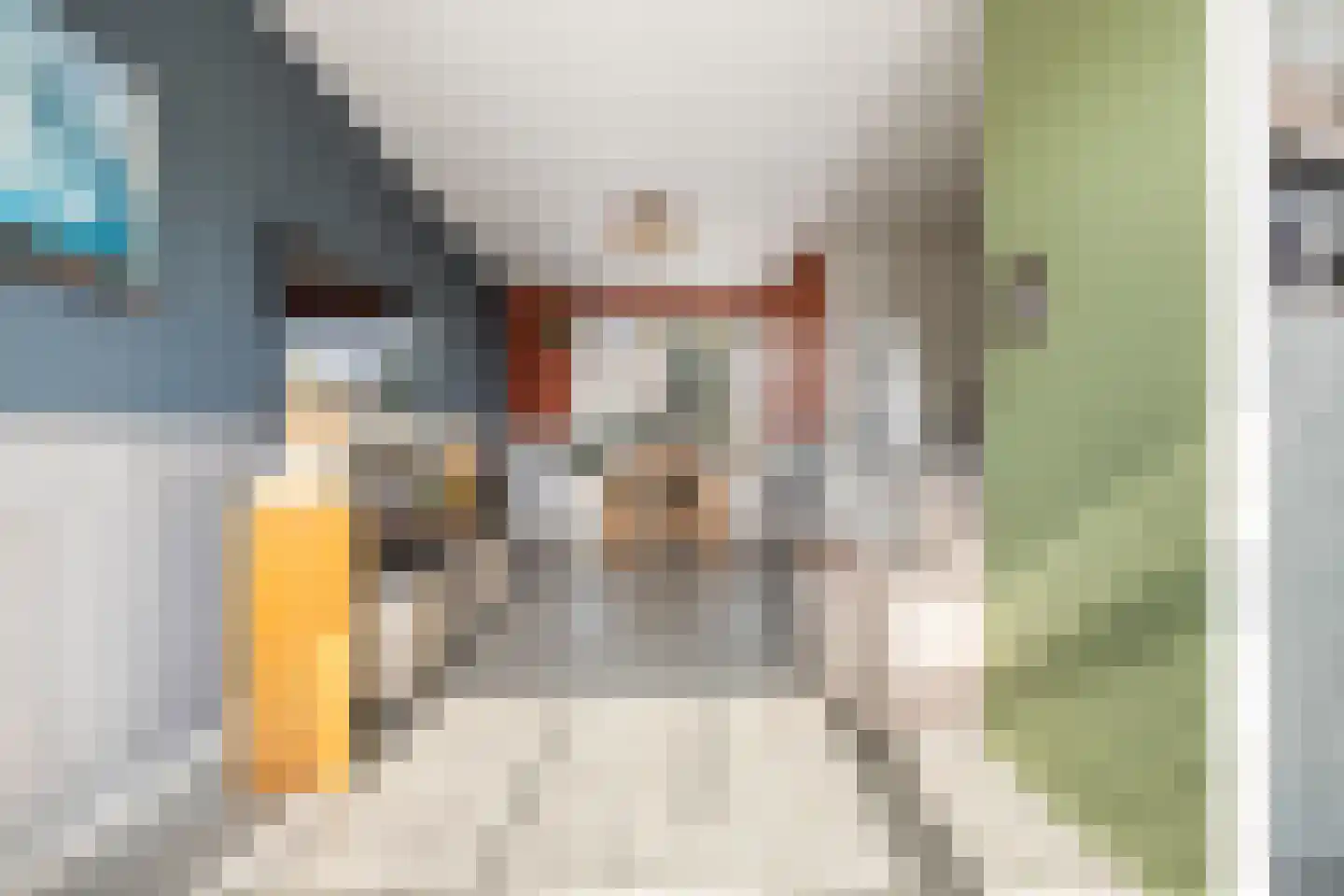 Ganzepad 9 Werkendam thumbnail 6