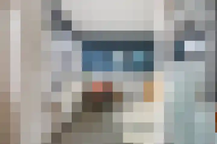 Ganzepad 9 Werkendam thumbnail 7