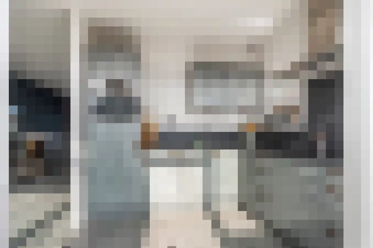 Ganzepad 9 Werkendam thumbnail 8